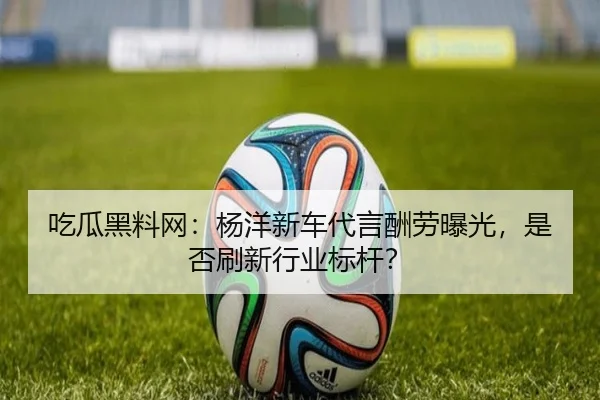 chi-gua-hei-liao-wang-yang-yang-xin-che-dai-yan-chou-lao-bao-guang-shi-fou-shua-xin-hang-ye-biao-gan-2-212.jpg